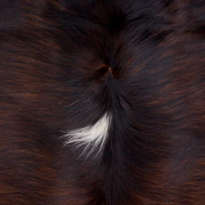 Brown And White Cowhide Rug NOV26-141 (210cm x 190cm)