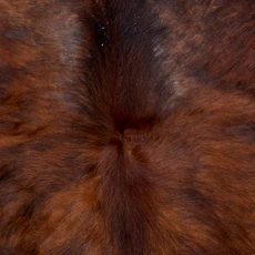 Brown Brindle Cowhide Rug NOV26-145 (210cm x 190cm)
