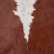 Deep Brown And White Cowhide Rug NOV26-152 (230cm x 210cm)