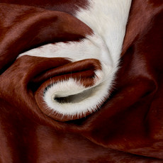 Deep Brown And White Cowhide Rug NOV26-152 (230cm x 210cm)