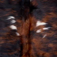 Brown And White Cowhide Rug NOV26-154 (170cm x 170cm)