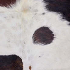 Brown And White Cowhide Rug NOV26-160 (180cm x 180cm)
