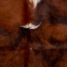 Brown And White Cowhide Rug NOV26-166 (180cm x 180cm)