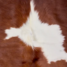Bright Burst Of Brown And White Cowhide Rug NOV26-176 (220cm x 200cm)