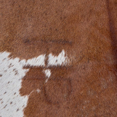 Spotted Fawn And White Cowhide Rug NOV26-177 (230cm x 200cm)