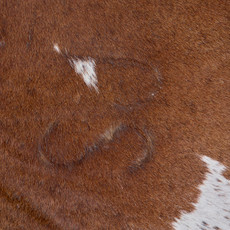 Spotted Fawn And White Cowhide Rug NOV26-177 (230cm x 200cm)