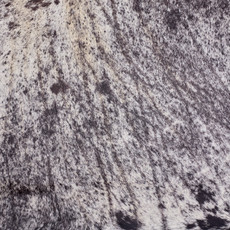 Burnt Black And White Speckled Cowhide Rug NOV26-179 (250cm x 220cm)