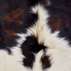 Deep Brown And White Cowhide Rug NOV26-183 (200cm x 180cm)