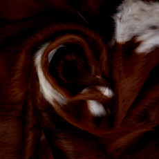 Bright Brown And White Cowhide Rug NOV26-209 (200cm x 190cm)