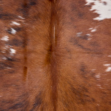Spotted Bright Brown And White Cowhide Rug NOV26-229 (200cm x 190cm)