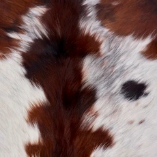 Dappled Brown And White Cowhide Rug NOV26-239 (180cm x 180cm)