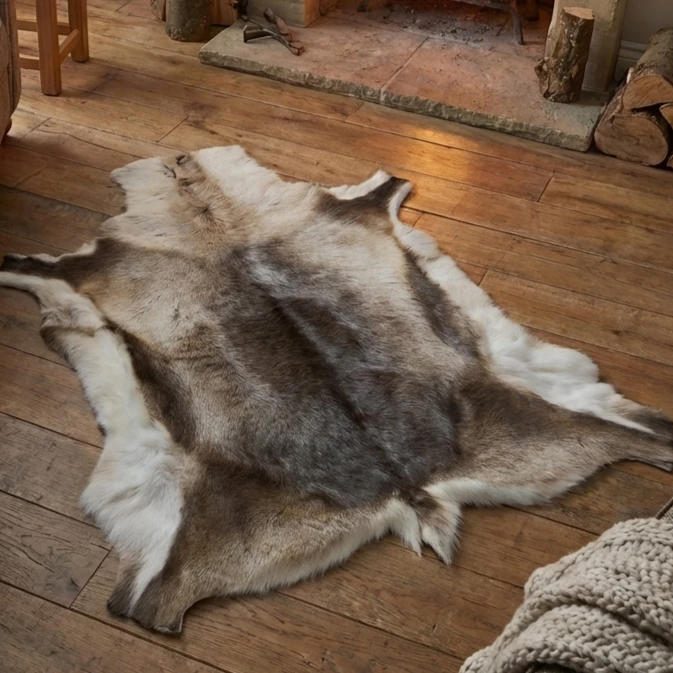 Reindeer