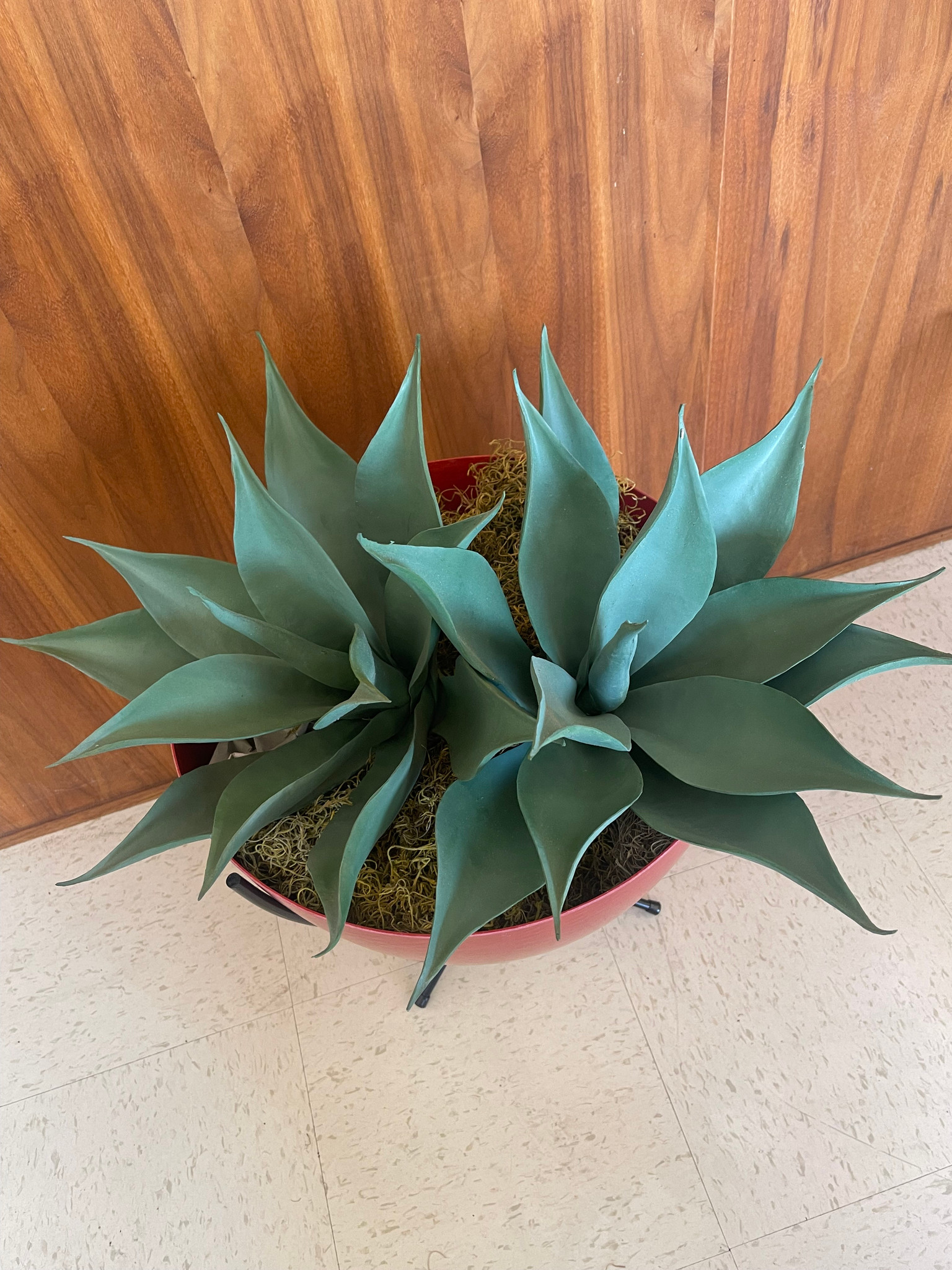 Faux Succulent Agave (Medium) Hip Haven