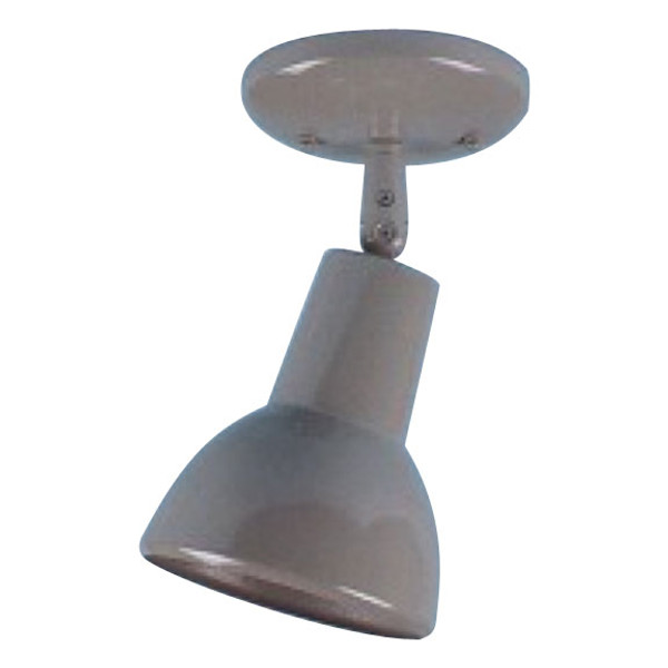 Single Bell-shade Ceiling Fixture