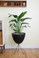 Medium Retro Bullet Planter in clear coat stand
