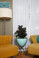 Medium Retro Bullet Planter in Turquoise
