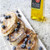 Blood-Orange-French-Toast_800x