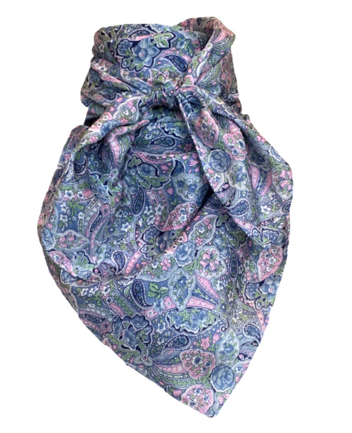 Calico Blue and Pink Paisley