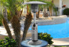 TFPS Patio Heaters 39" Tall Table Top - Stainless Steel Patio Heater - TFPS-HLDS032-B