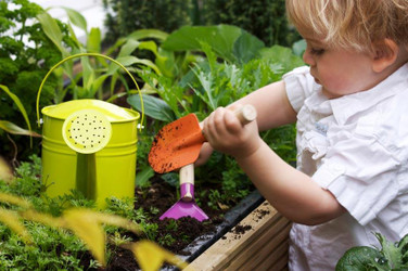 ​6 Fun Outdoor Projects With The Kids!