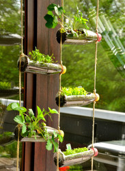 Vertical Gardens For Home Decoration