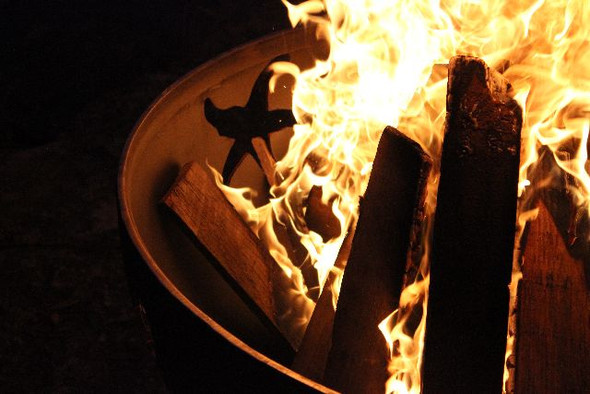 Fire Pit Art Sea Creatures 36" Fire Pit - Sea Creatures - SEA Fire Pits The Fire Pit Store