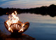 Fire Pit Art Barefoot Beach 42" Shells And Starfish Fire Pit - BB Fire Pits The Fire Pit Store