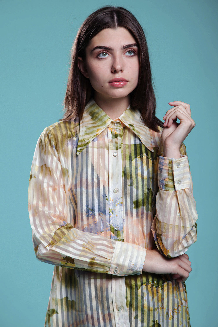 vintage sheer blouse