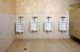Piston vs. Diaphragm Urinal Flushometers: A Closer Look