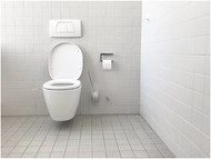 Make Your Commercial Restrooms Pandemic Proof with Electronic Flushometers