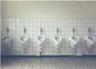 Types of Urinals (and How to Choose the Right One for Your Commercial Location)