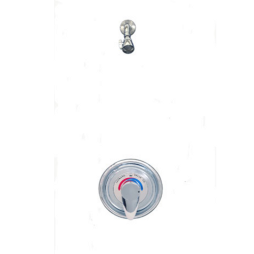 Leonard Valve 51-1D PAM-II-ST-F Pressure Balanced Combo Shower Valve