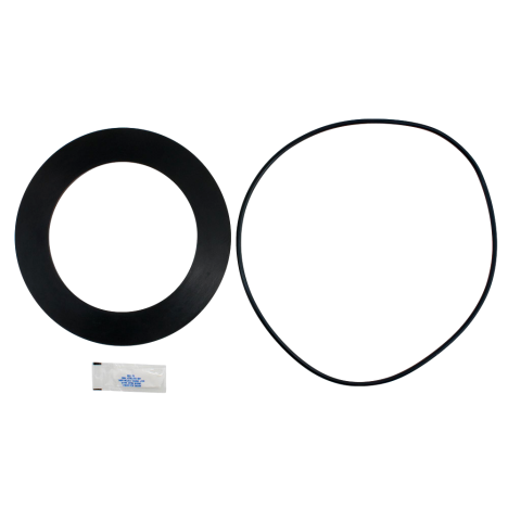 WATTS 0887229 RK909RC2 Second Check Rubber Parts Kit 8"