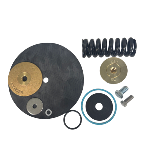 Zurn Wilkins RK212-500XLHR 2 1/2 In Pressure Reducing Valve Repair Kit