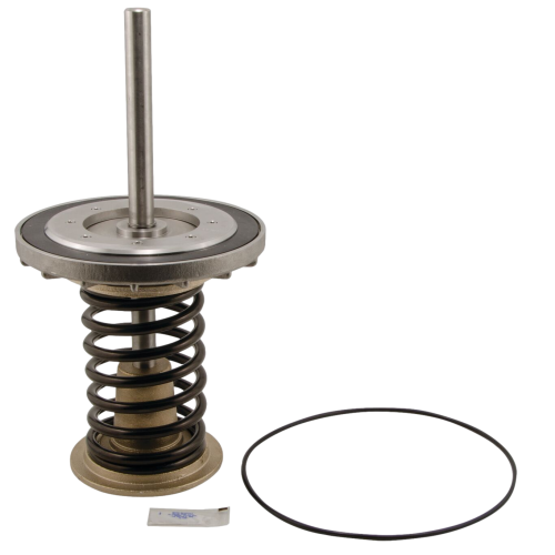 WATTS 0794099 LFRK 909-CK1 First Check Repair Kit 8"