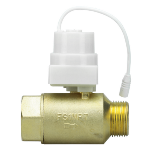 FloodStop 20086/FSAV1NPT 1" Motorized Valve