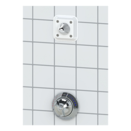 Whitehall Manufacturing WH538-CSH-SRCH Ligature Resistant Component Wall Shower.