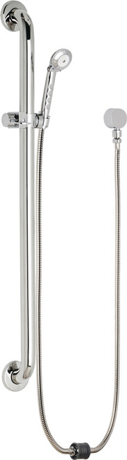 Chicago Faucets 154-ADCP Auto-Drain Hose and Hand Spray, 2.5 GPM with 36" ADA Grab Bar