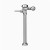 Sloan 3019500 Royal 114-3.5 Manual Exposed Flushometer Closet 3.5 GPF