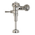 Delany UP451-1-SC-T42-TS Exposed TruUltra Plus Valve - Toilets 1.0 GPF