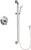 Chicago Faucets SH-TP1-00-024 Thermostatic/ Pressure Balancing Shower Fitting with Hand Spray, and 36" ADA Grab Bar