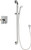Chicago Faucets SH-TP2-00-024 Thermostatic/ Pressure Balancing Shower Fitting with Hand Spray, and 36" ADA Grab Bar