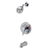 Zurn Z7302-SS-MT-S8 Temp-Gard III Tub & Shower Unit