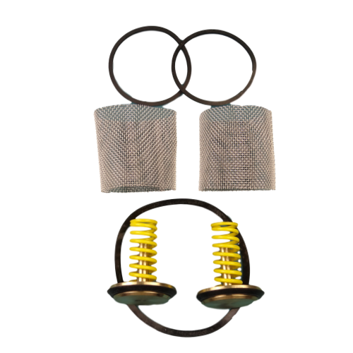 Leonard Valve KIT 1/200Y Packings & Gaskets Kit