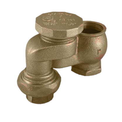 Champion V-19-466-075Y Anti-Siphon 3/4