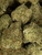 Green Crack – Premium THCA Flower (Sativa)