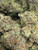 Meat Breath – Premium THCA Flower (Hybrid)