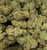 Gastronaut – Premium THCA Flower (Sativa Hybrid)
Gastronaut is an adventurous sativa-leaning hybrid THCA flower from Underground420, showcasing dense, trichome-covered buds with stellar bag appeal. Its vibrant color spectrum features bright lime greens mixed with deep purples and fiery orange pistils, all shimmering under a frosty blanket of resin. The aroma launches with sweet tropical fruit and citrus zest, layered over earthy pine and gassy undertones for a complex bouquet. On the inhale, Gastronaut delivers a burst of sweet fruit and candy-like flavor that evolves into notes of spice and herbal earthiness. This terpene-rich premium THCA hemp flower offers an uplifting cerebral buzz balanced by smooth body relaxation—perfect for creative, daytime exploration without losing grounding.