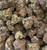 Black Cherry Gelato – Premium THCA Flower (Hybrid)