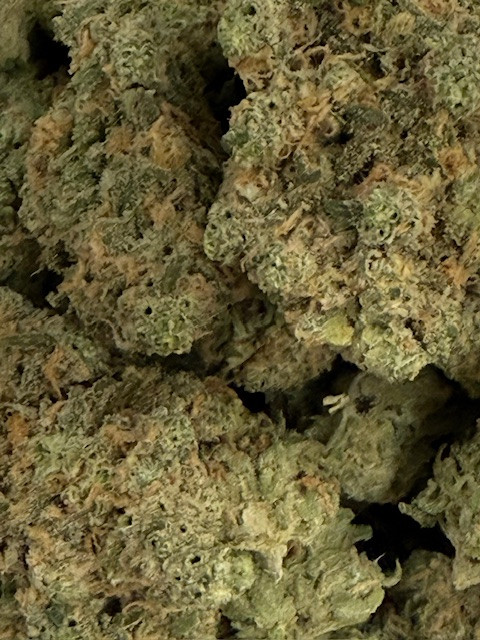 Blue Dream – Premium THCA Flower (Sativa)